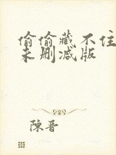 偷偷藏不住番外未删减版