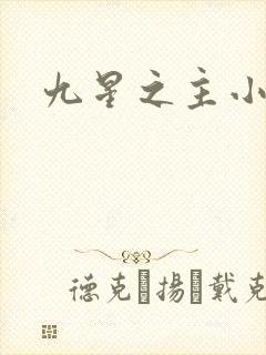 九星之主小说