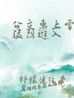 公交车上雪柔被猛烈进入