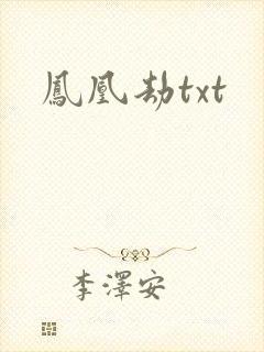 凤凰劫txt
