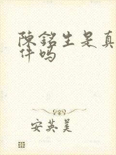 陈铭生是真实事件吗