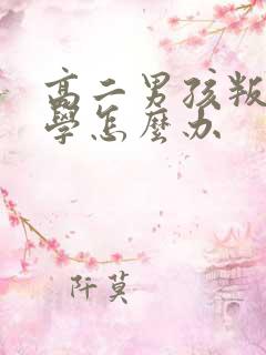 高二男孩叛逆厌学怎么办