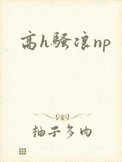 高h骚浪np