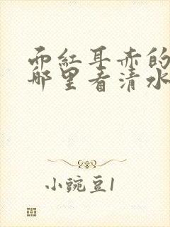 面红耳赤的小说哪里看清水村花