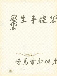 学生手提袋拎书袋