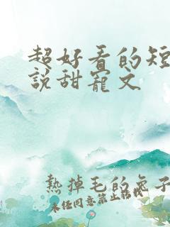 超好看的短篇小说甜宠文