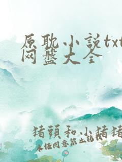 原耽小说txt网盘大全