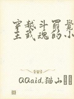 穿越斗罗觉醒圣主武魂的小说