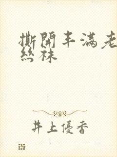 撕开丰满老师的丝袜