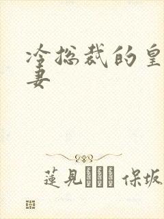 冷总裁的皇后暖妻