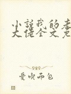 小说我的老公是大佬全文免费阅读