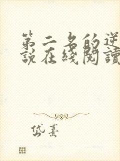 第二名的逆袭小说在线阅读