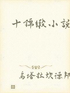 十锦缎小说