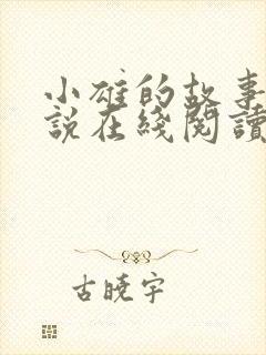 小雄的故事 小说在线阅读