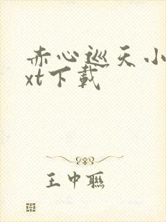 赤心巡天小说txt下载