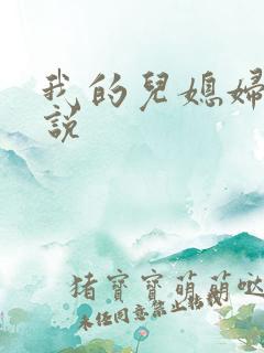 我的儿媳妇是小说