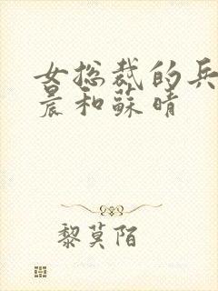 女总裁的兵王萧晨和苏晴