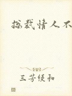 总裁情人不好当