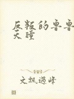 反叛的鲁鲁修之天瞳