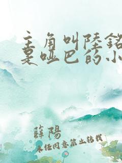 主角叫陆铭女主是哑巴的小说