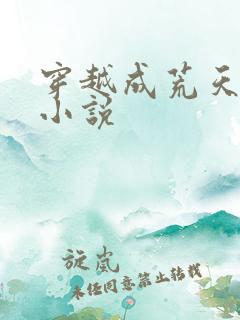 穿越成荒天帝的小说