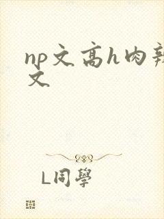 np文高h肉辣文