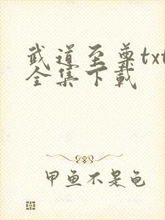 武道至尊txt全集下载