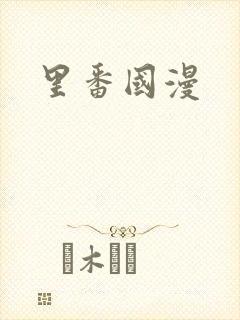 里番国漫