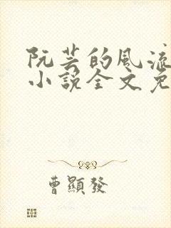 阮芸的风流人生小说全文免费阅读