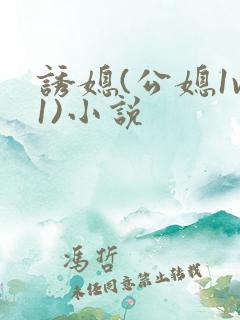 诱媳(公媳1v1)小说