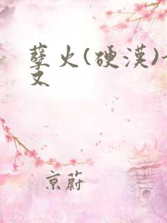 孽火(硬汉)今又