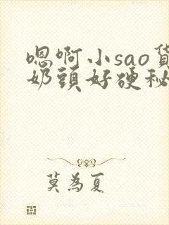 嗯啊小sao货奶头好硬秘书小说
