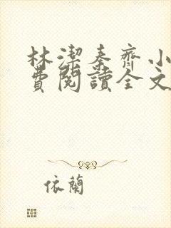 林洁秦齐小说免费阅读全文最新章节