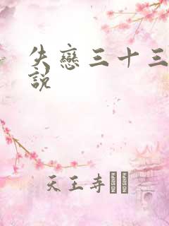失恋三十三天小说