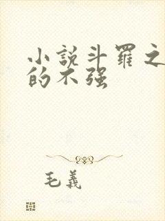 小说斗罗之我真的不强