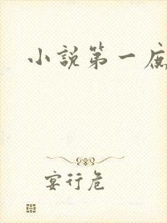 小说第一庶女