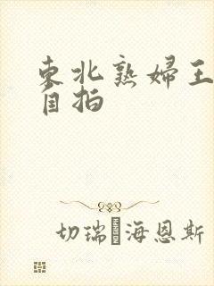 东北熟妇王梅娟自拍