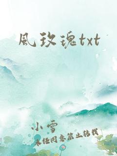 风玫瑰txt