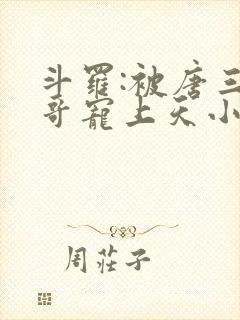 斗罗:被唐三哥哥宠上天小说免费阅