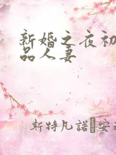 新婚之夜初尝极品人妻