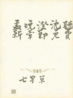 孟晚澄沈听澜最新章节免费阅读