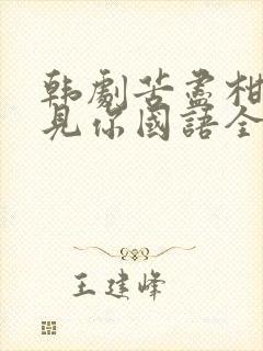 韩剧苦尽柑来遇见你国语全集