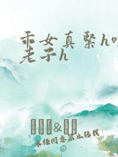 乖女真紧h嘶爽老子h