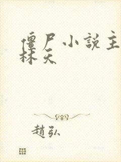 僵尸小说主角叫林天