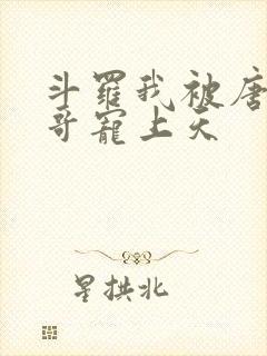 斗罗我被唐三哥哥宠上天