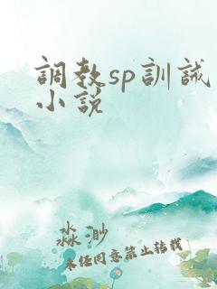 调教sp训诫类小说
