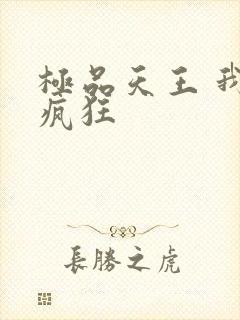 极品天王 我本疯狂