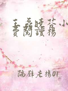 王磊晓芬小说免费阅读杨