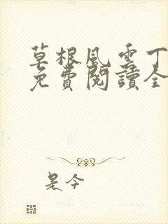 草根风云丁长生免费阅读全本