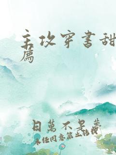 主攻穿书甜文推荐